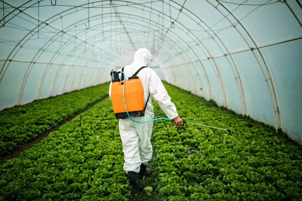 Professional Pest Control in Plattsburgh West, NY