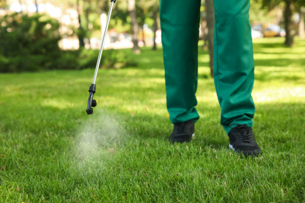 Best Pest Prevention Services  in Plattsburgh West, NY