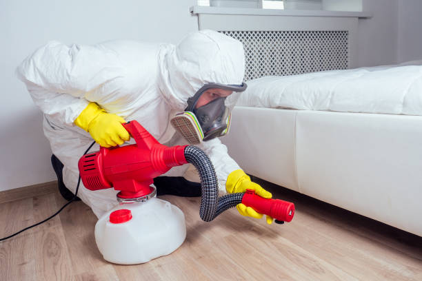 Pest Prevention Services in Plattsburgh West, NY