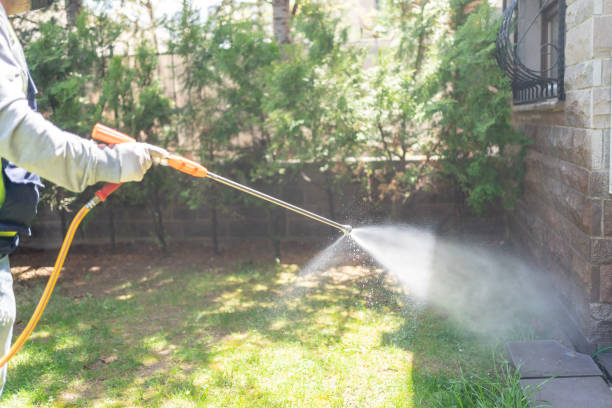 Best Rat Extermination Near Me  in Plattsburgh West, NY