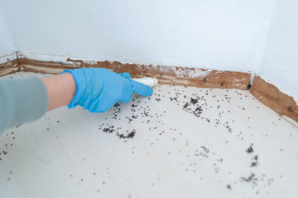 Best Wildlife Control Services  in Plattsburgh West, NY