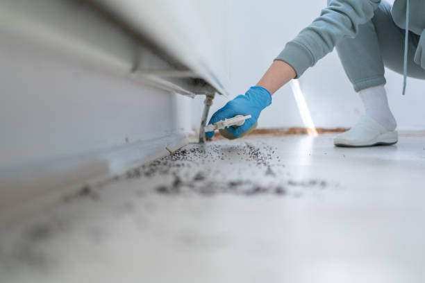 Best Pest Removal Services  in Plattsburgh West, NY