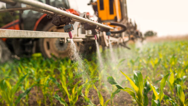 Best Best Pest Control Companies  in Plattsburgh West, NY